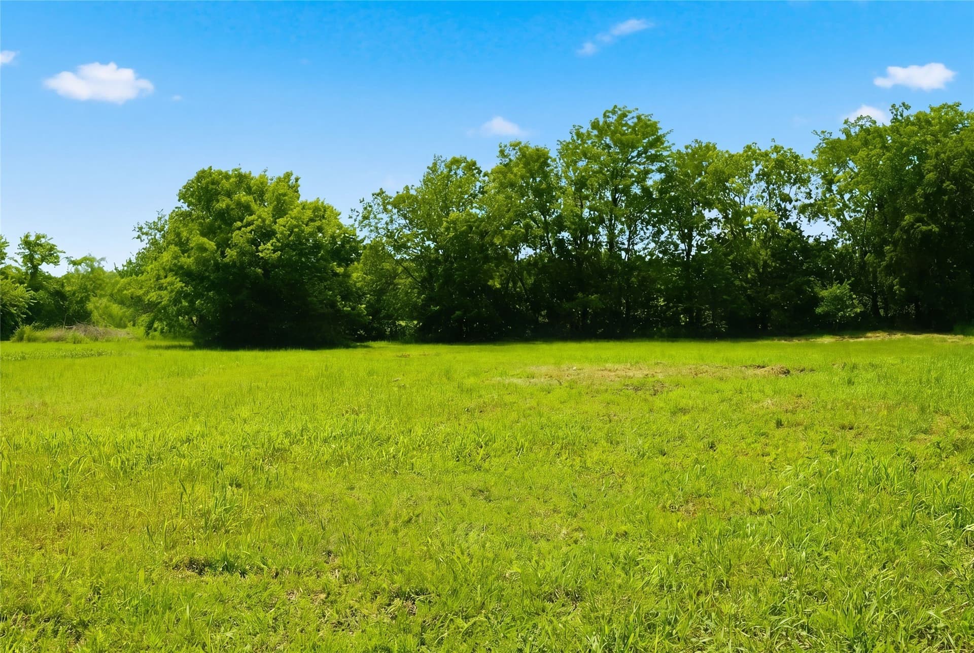 0.32 acres in Hunt County - photo 6