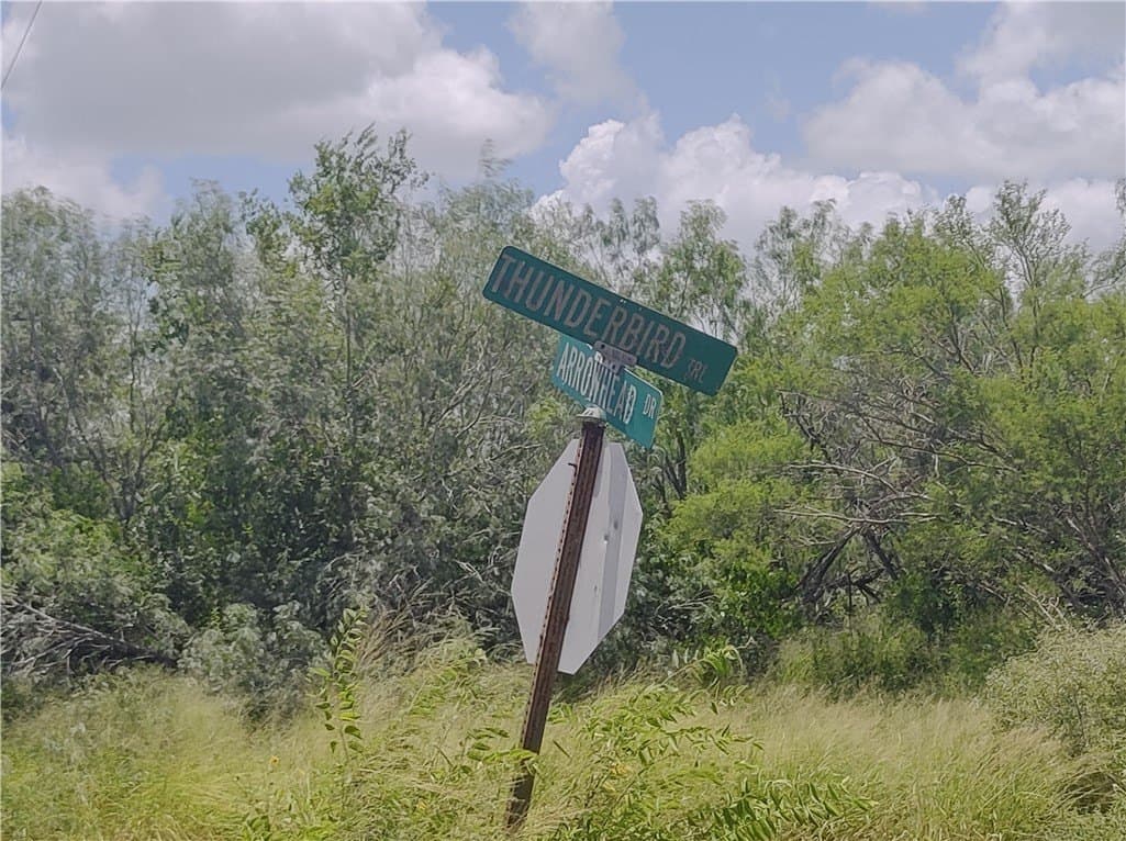 0.18 acres in Live Oak County gallery image 2