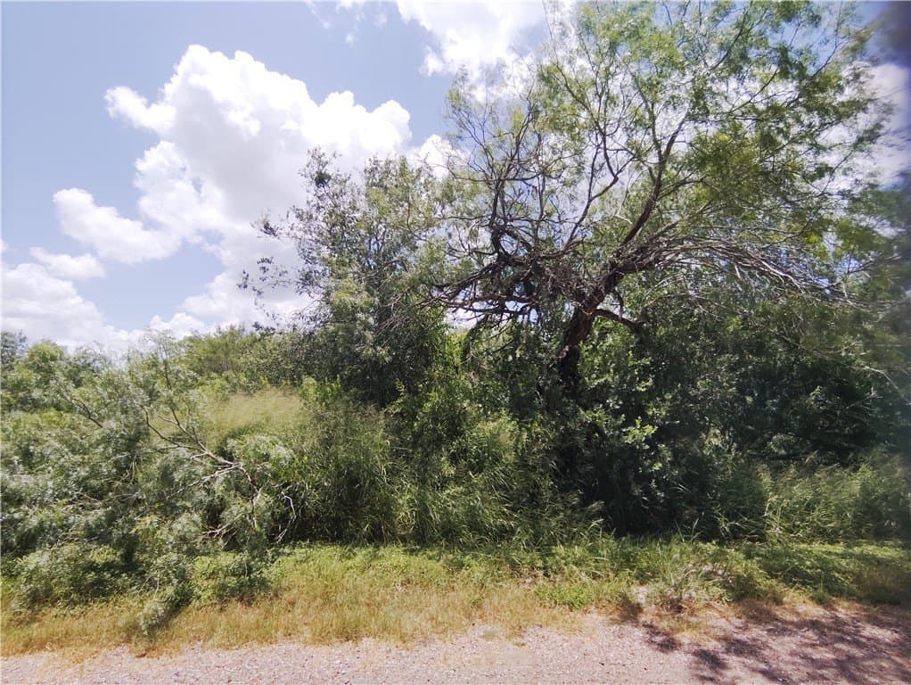 0.18 acres in Live Oak County