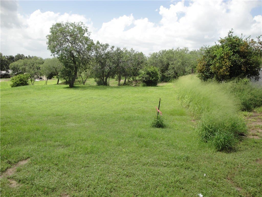 43,560 acres in Live Oak County - photo 4