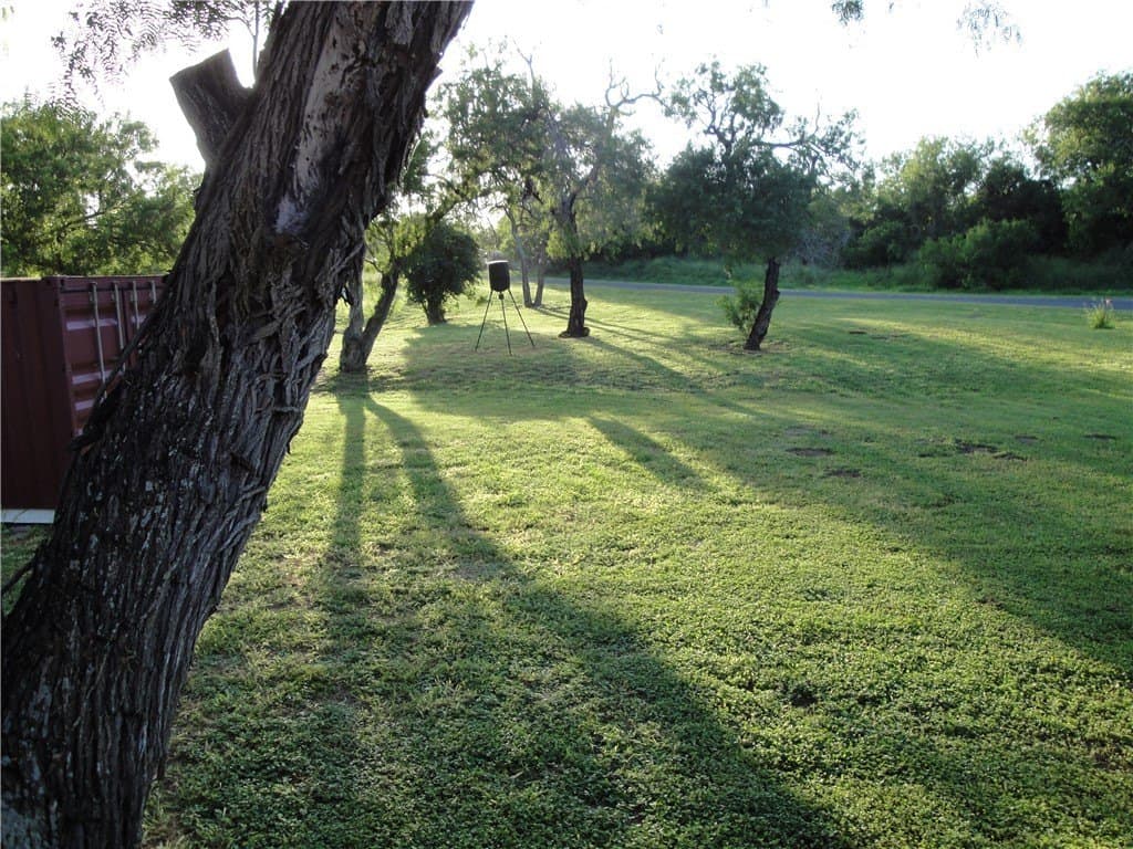 43,560 acres in Live Oak County - photo 29