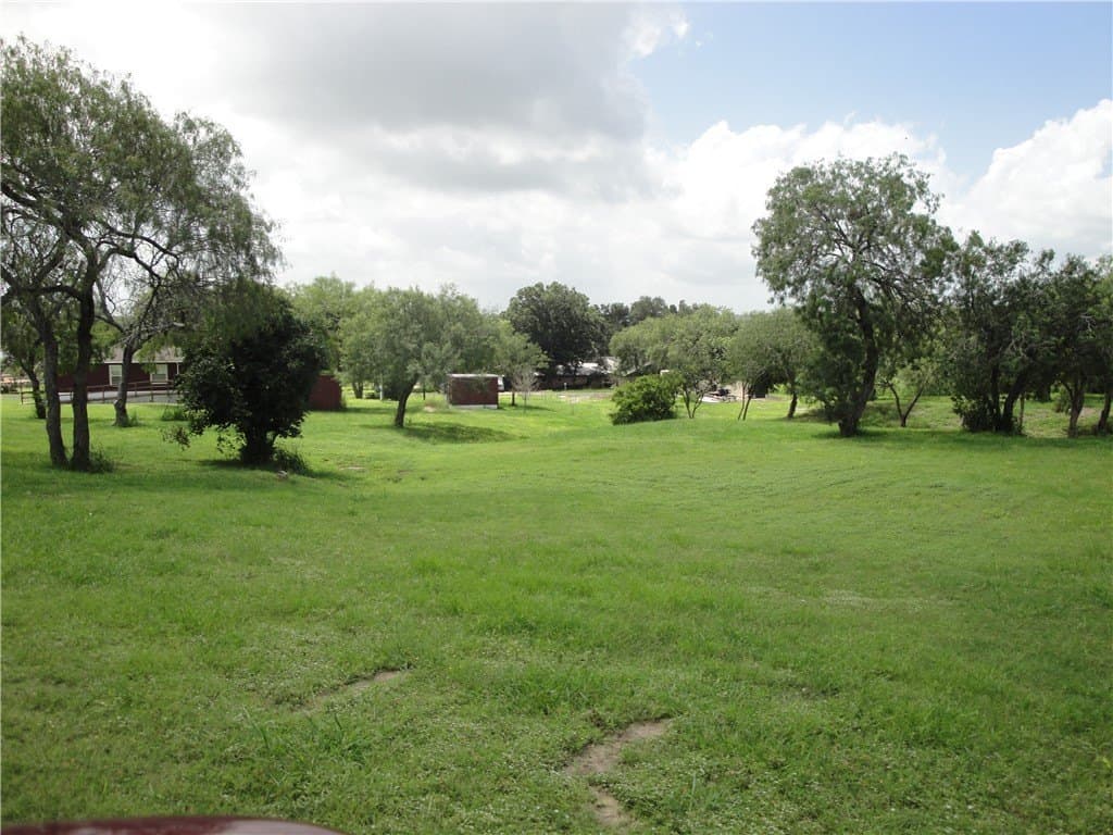 43,560 acres in Live Oak County - photo 3