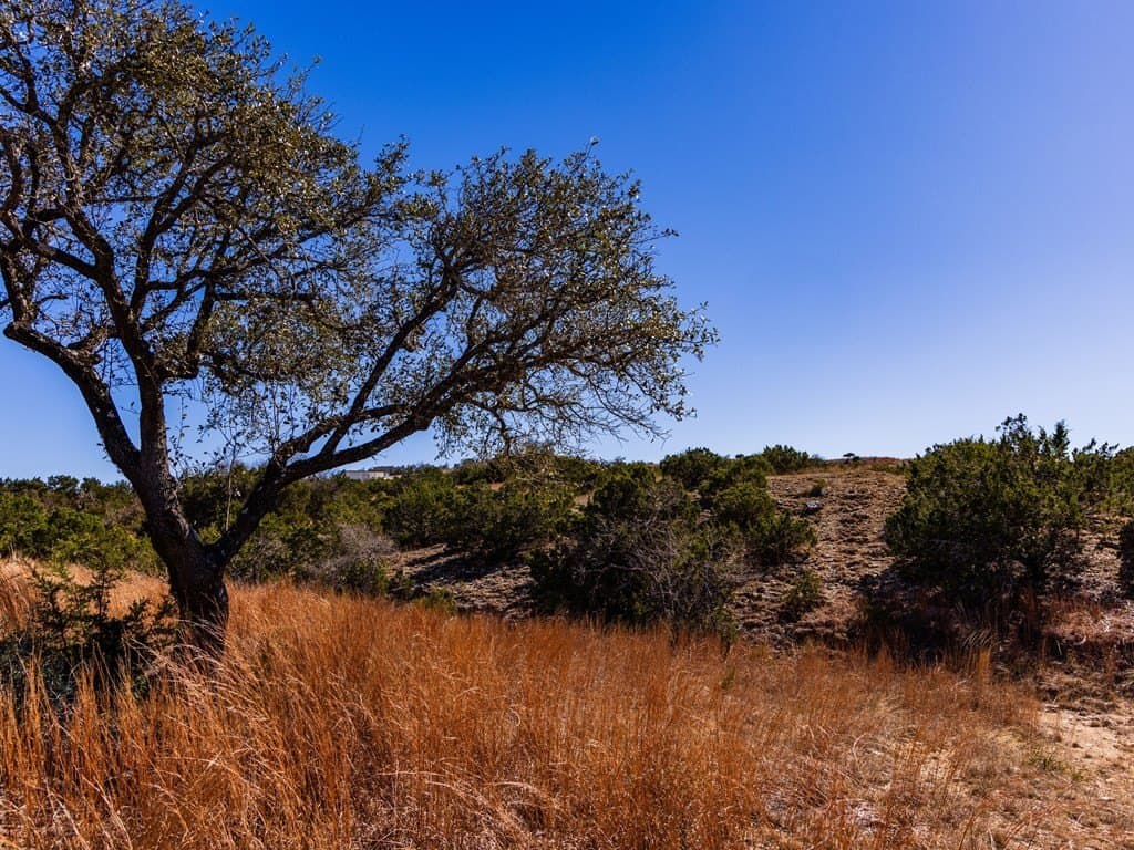 5 acres in Blanco County - photo 25