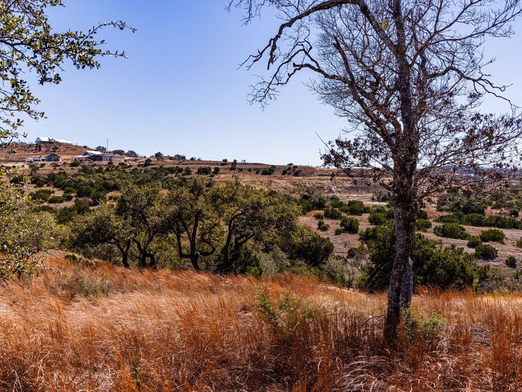 5 acres in Blanco County - photo 14