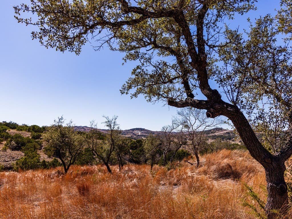 5 acres in Blanco County - photo 41