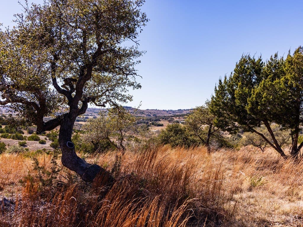 5 acres in Blanco County - photo 47