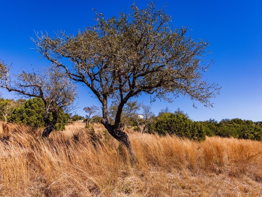 5 acres in Blanco County - photo 26