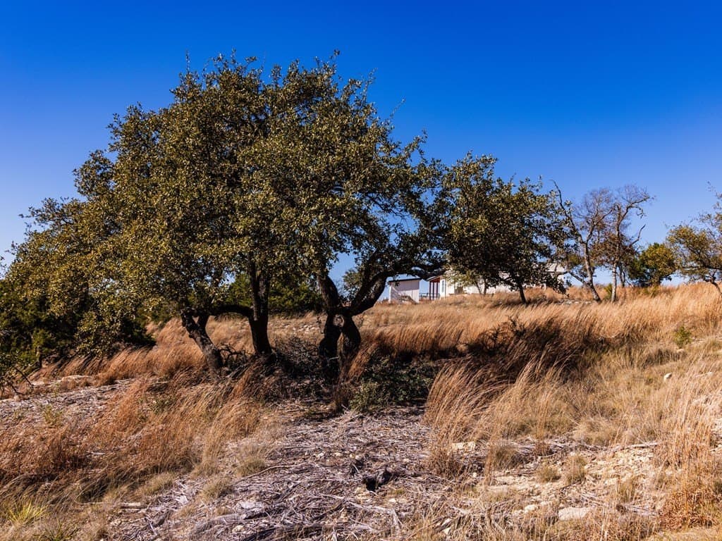 5 acres in Blanco County - photo 43