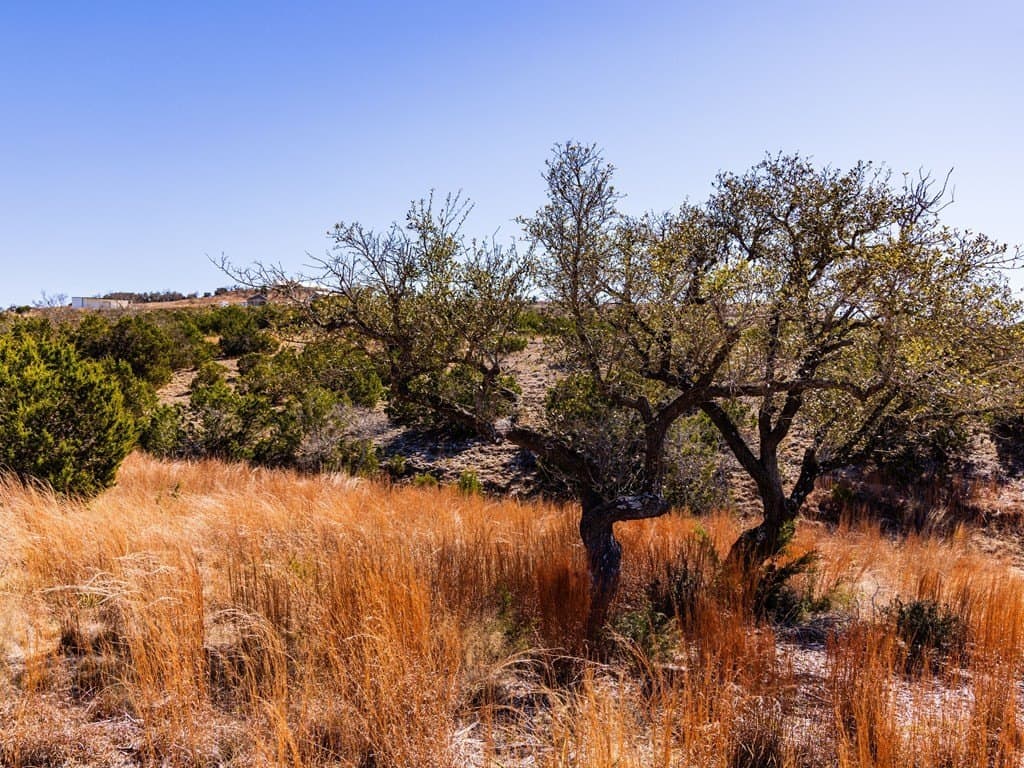 5 acres in Blanco County - photo 24