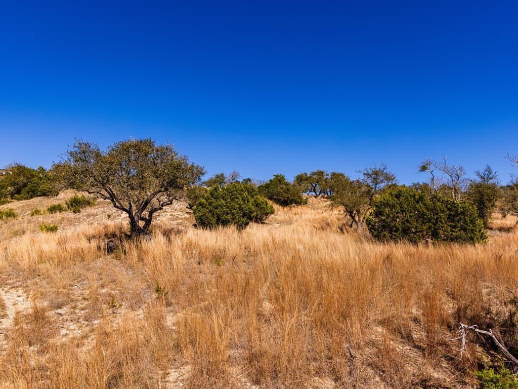 5 acres in Blanco County - photo 29