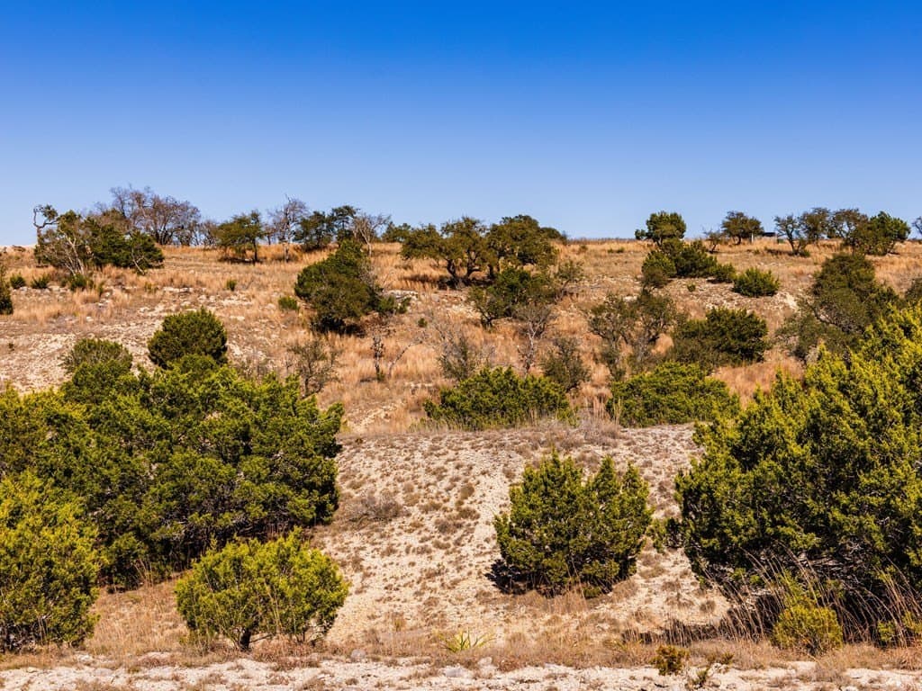 5 acres in Blanco County - photo 34