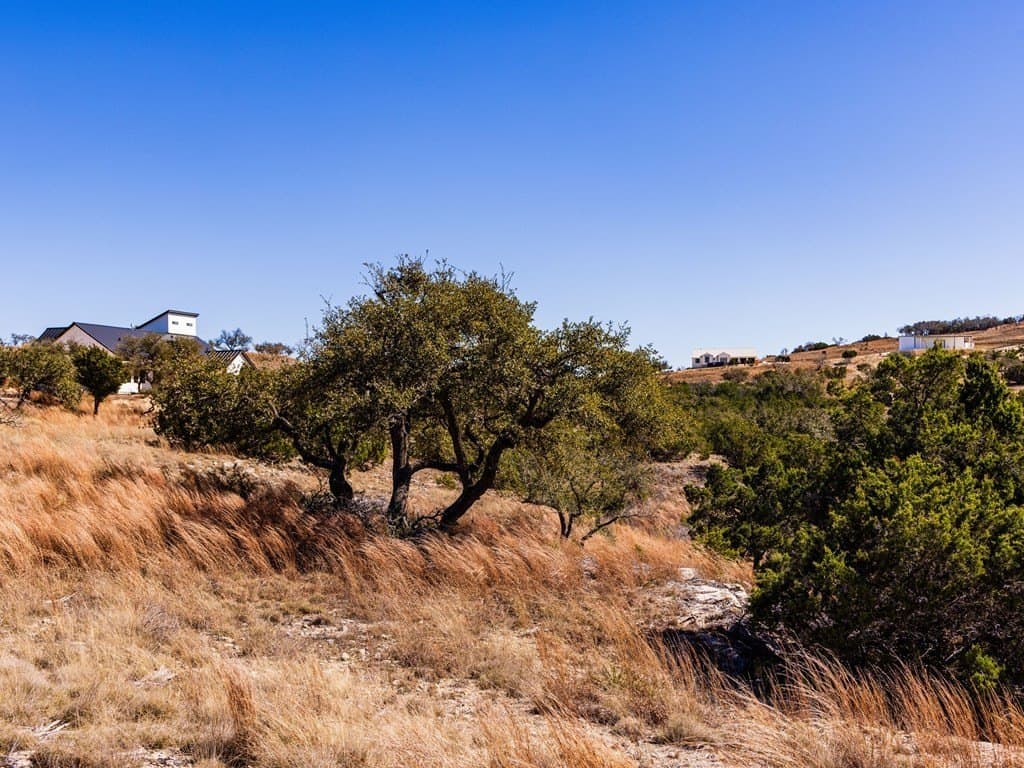 5 acres in Blanco County - photo 19