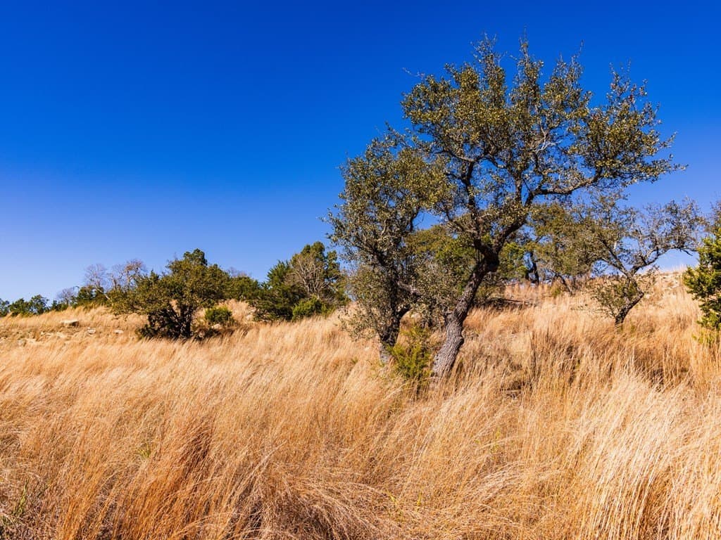 5 acres in Blanco County - photo 40