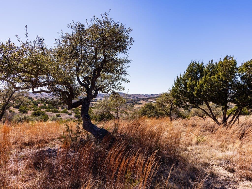 5 acres in Blanco County - photo 6