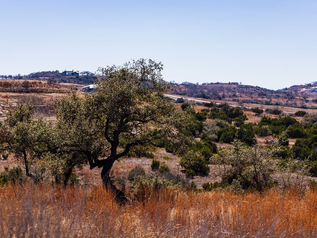 5 acres in Blanco County gallery image 4