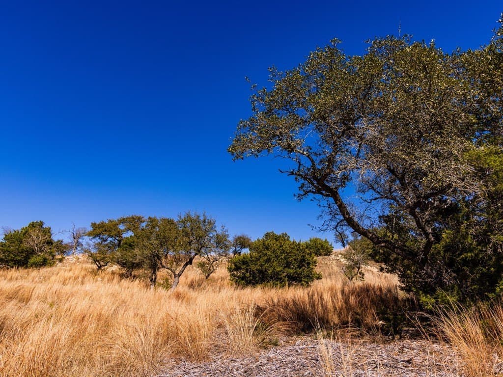 5 acres in Blanco County - photo 38