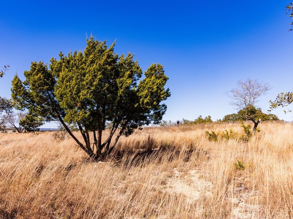 5 acres in Blanco County - photo 46
