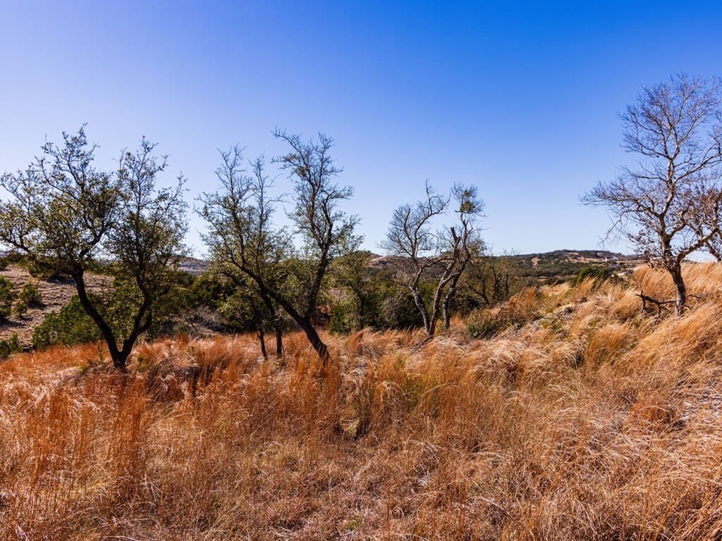5 acres in Blanco County - photo 39