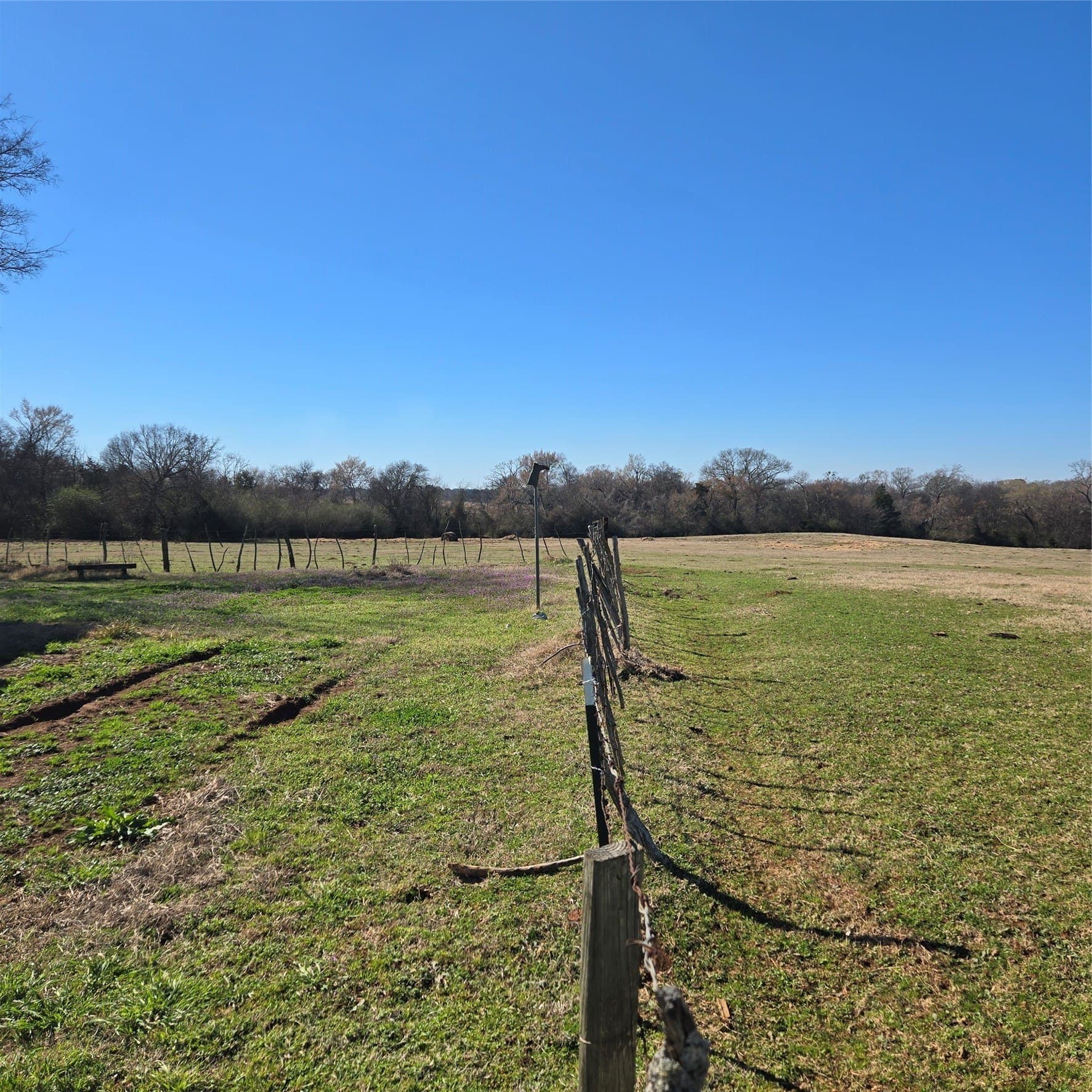 36 acres in Smith County - photo 12