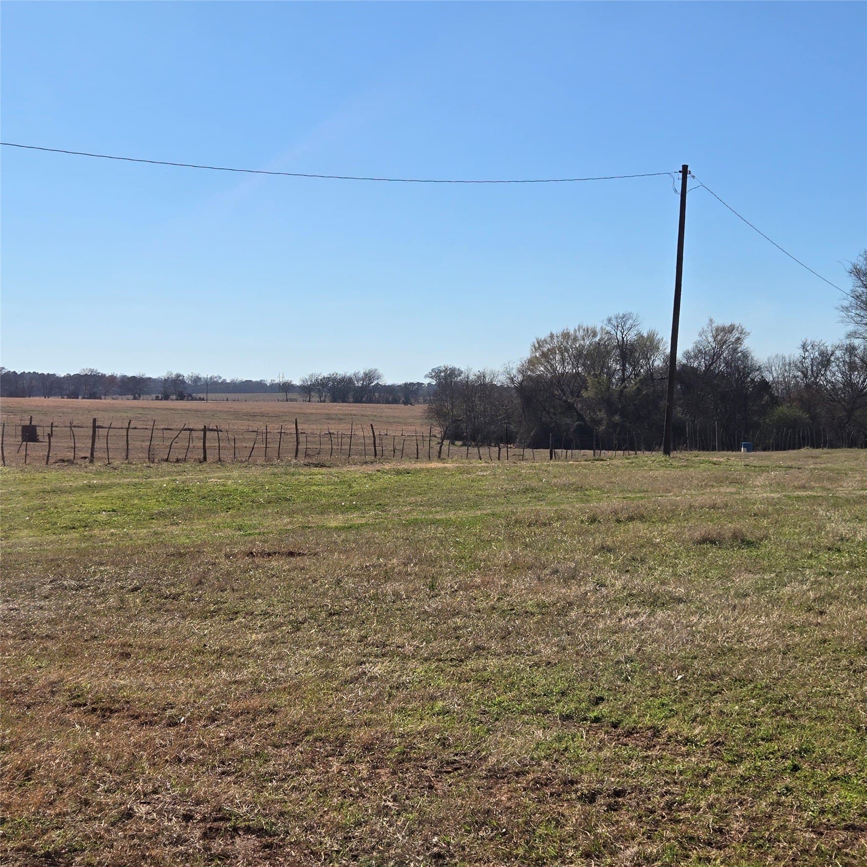 36 acres in Smith County - photo 6
