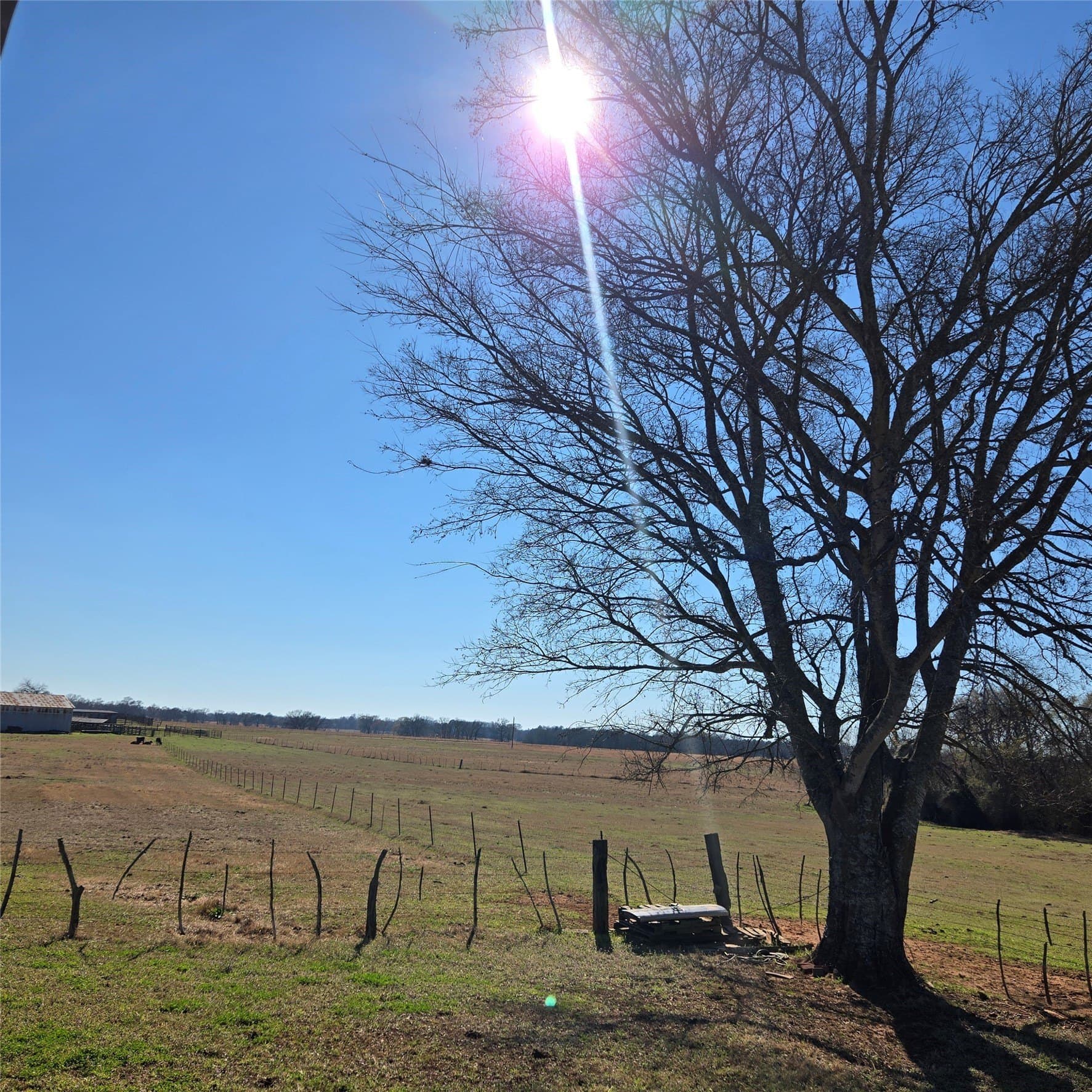 36 acres in Smith County - photo 7