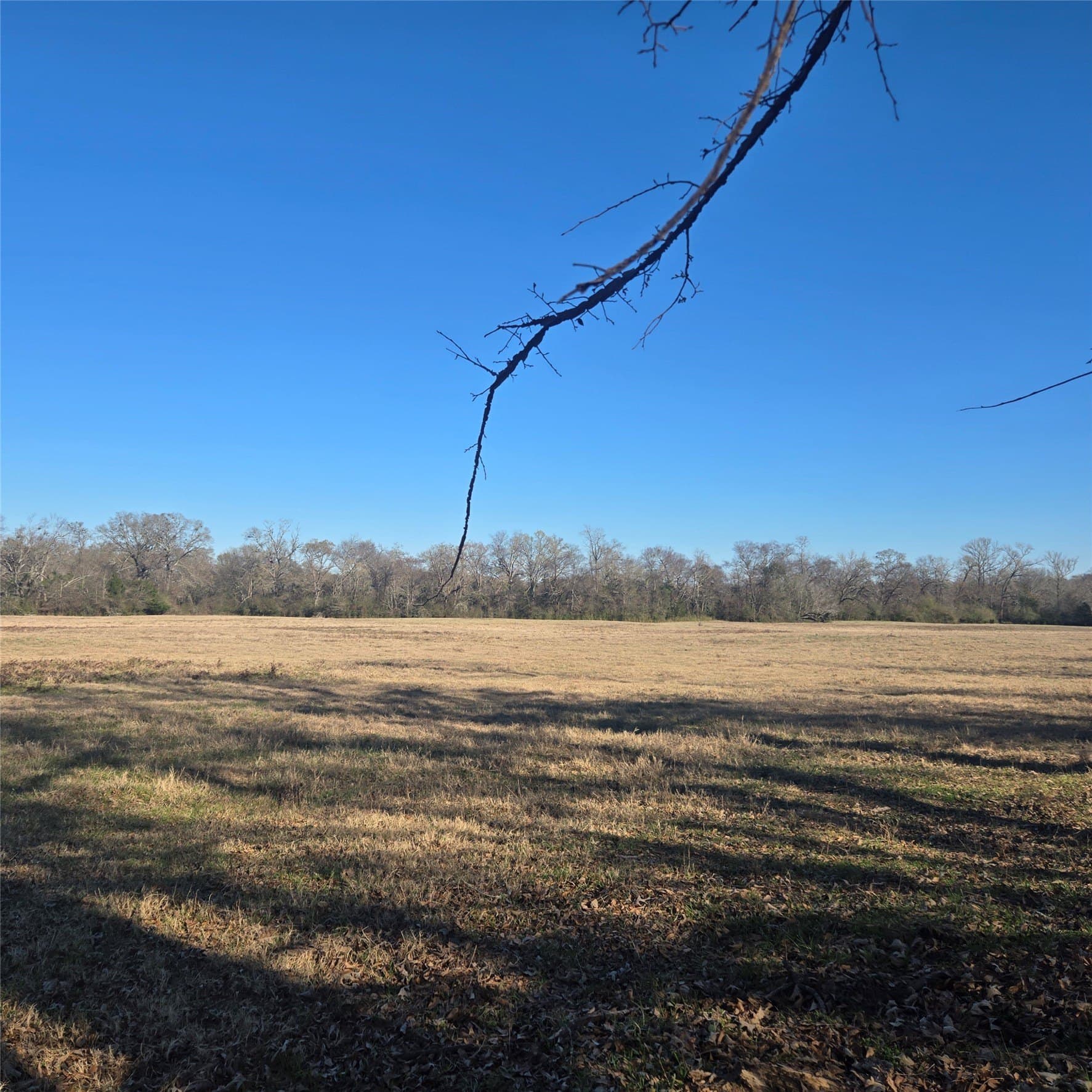 36 acres in Smith County - photo 2