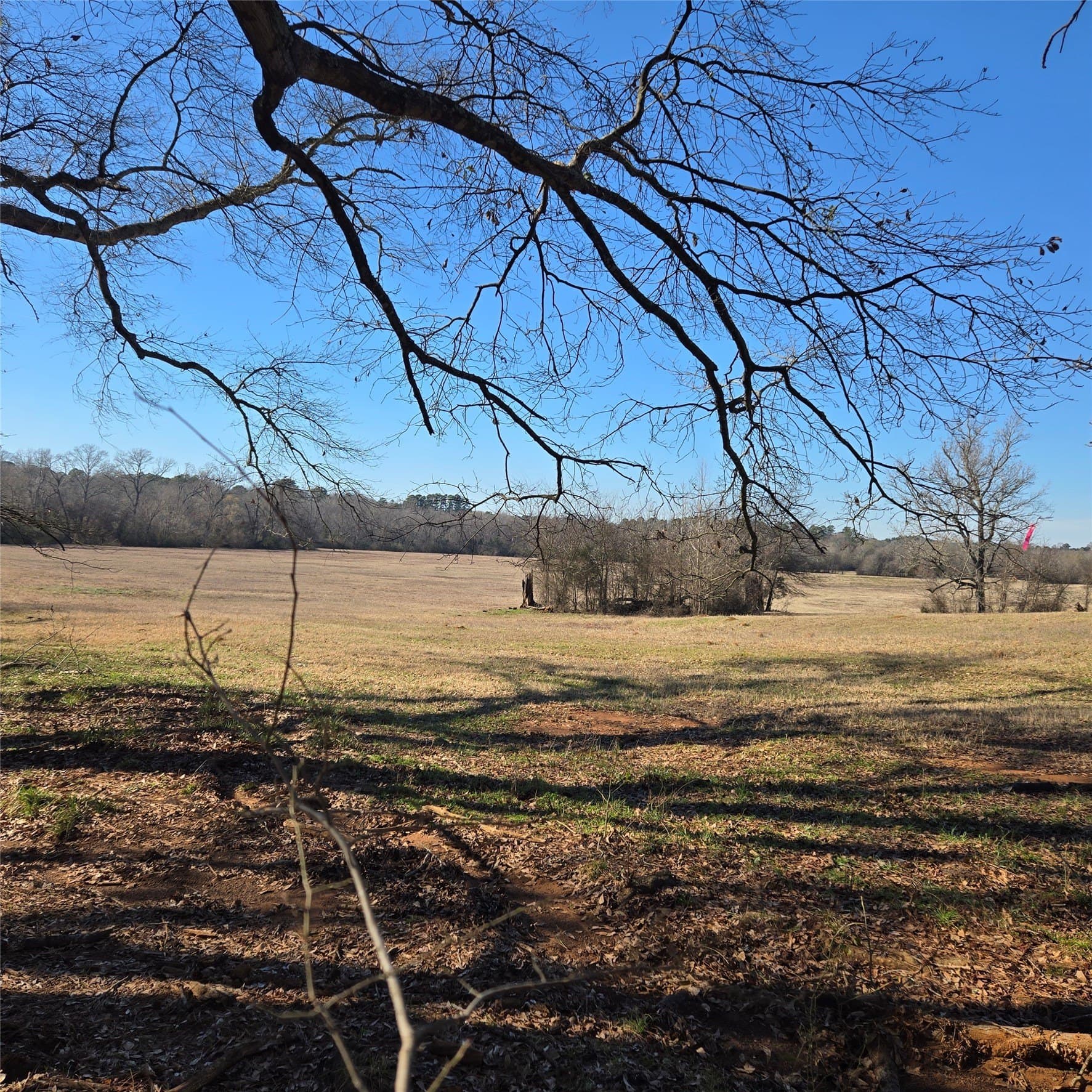 36 acres in Smith County - photo 4