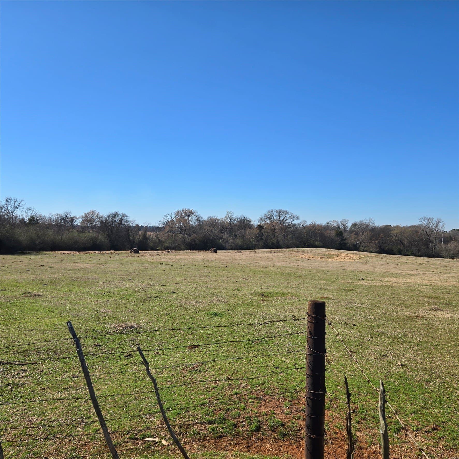 36 acres in Smith County - photo 3