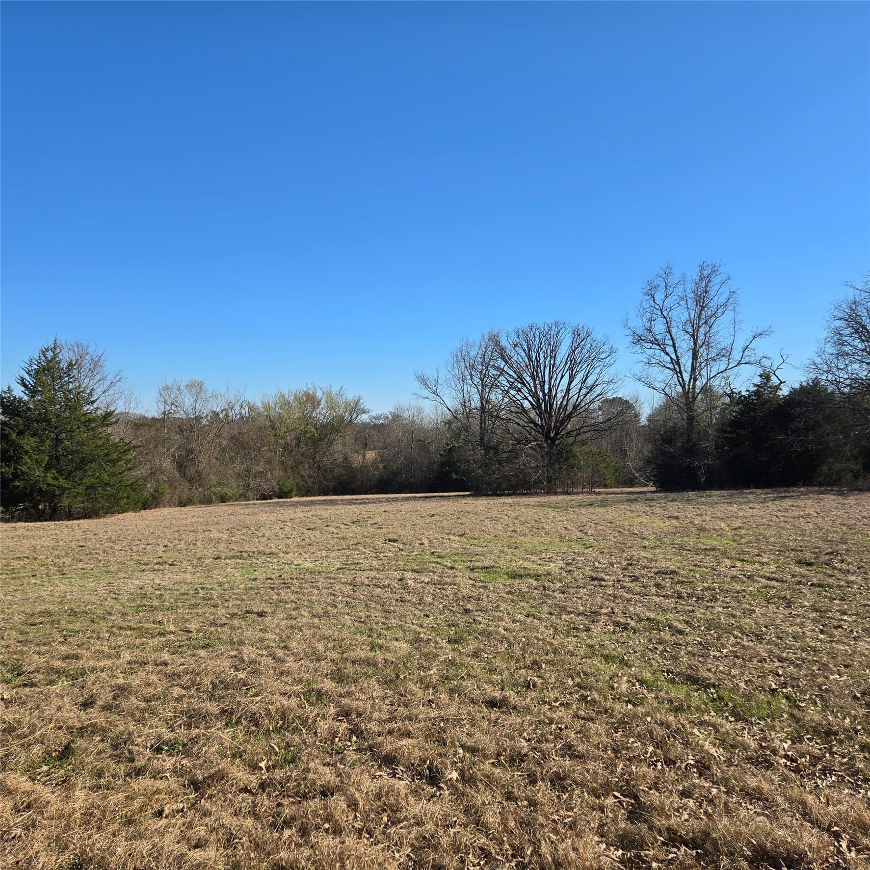 36 acres in Smith County - photo 11