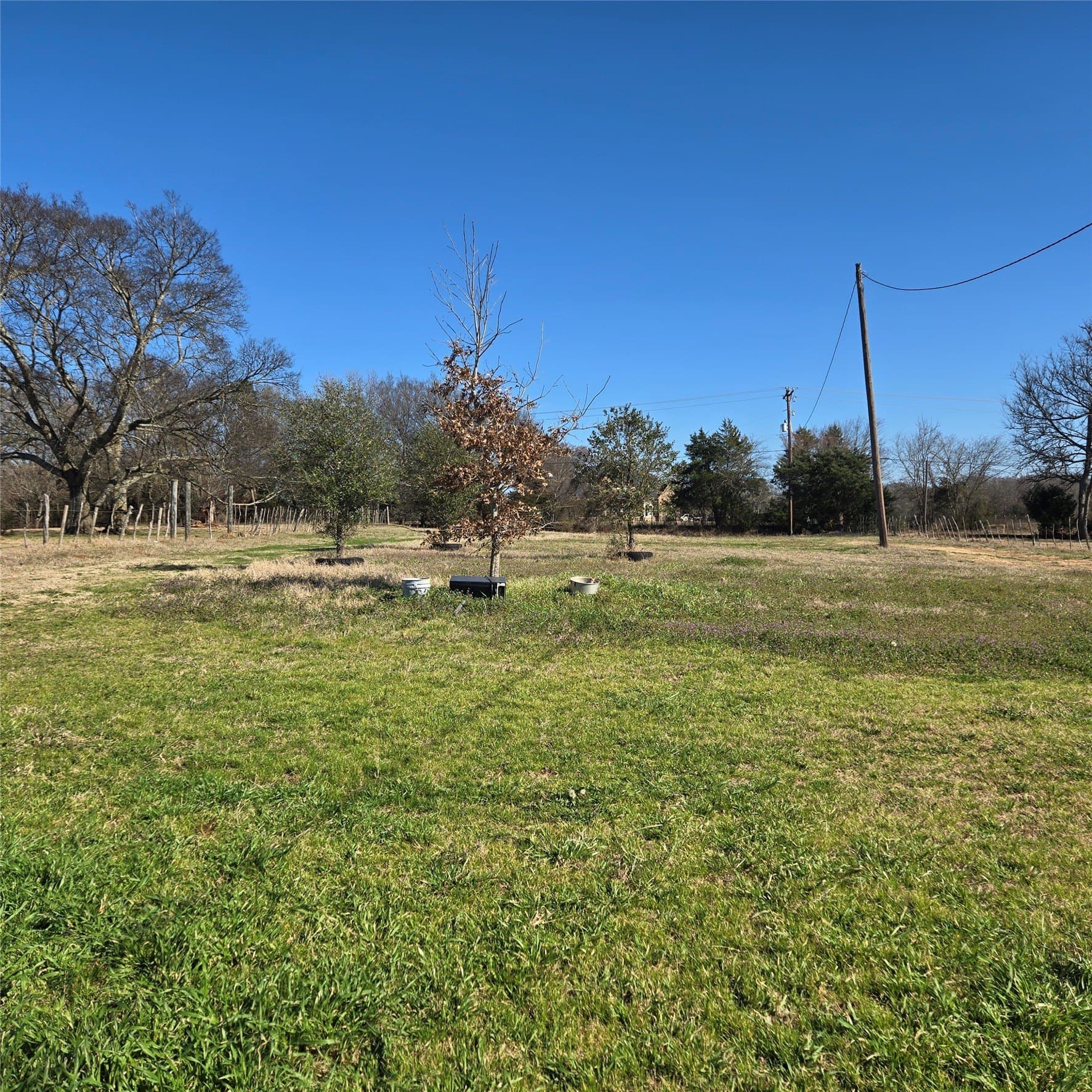 36 acres in Smith County - photo 10