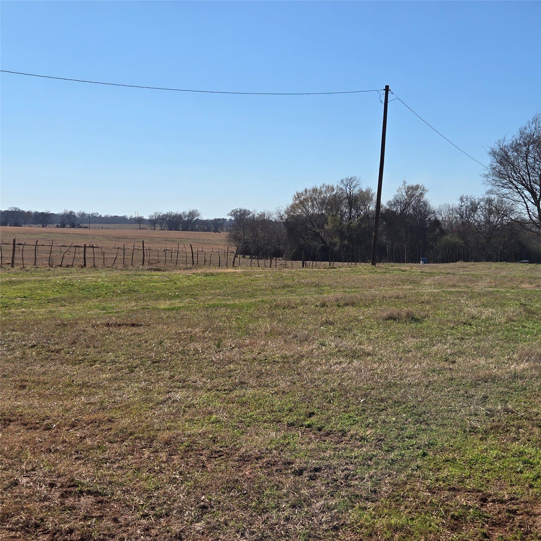 36 acres in Smith County - photo 9