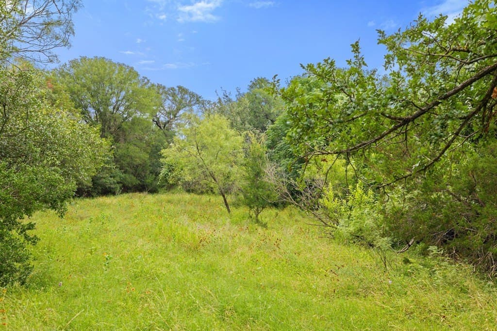 232 acres in Burnet County - photo 25