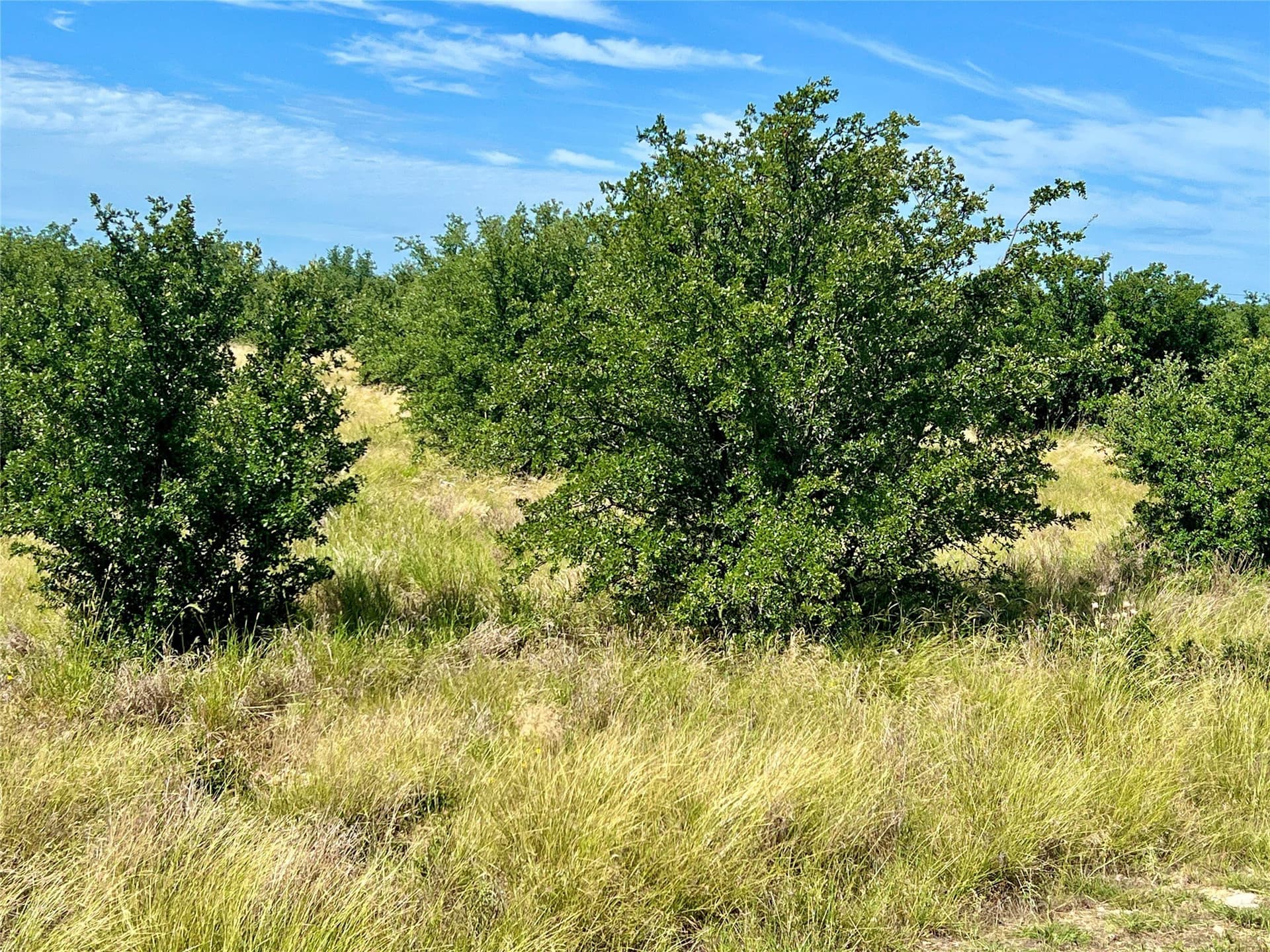 0.41 acres in Palo Pinto County - photo 6