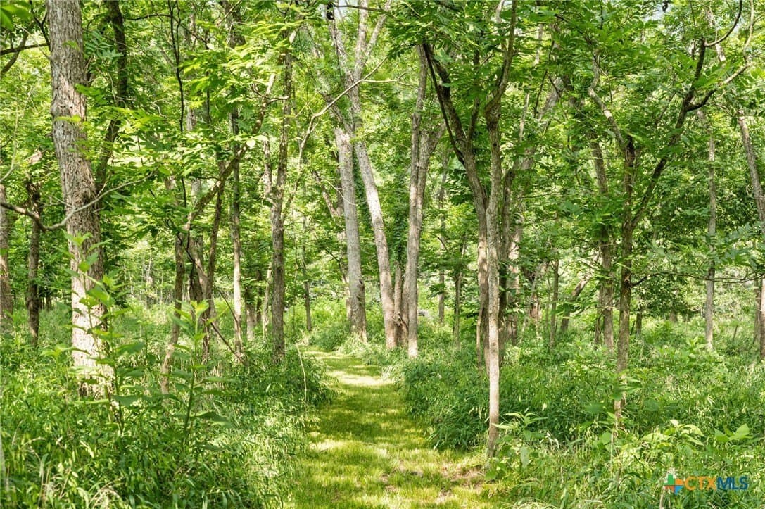 24.86 acres in Bastrop County - photo 31