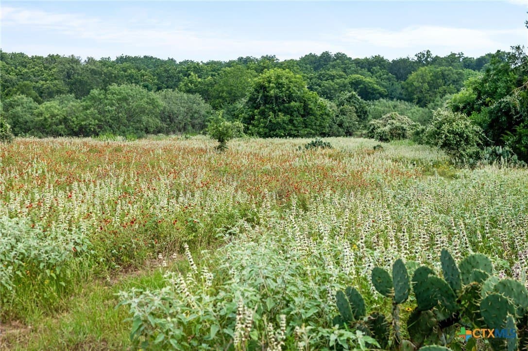 24.86 acres in Bastrop County - photo 30
