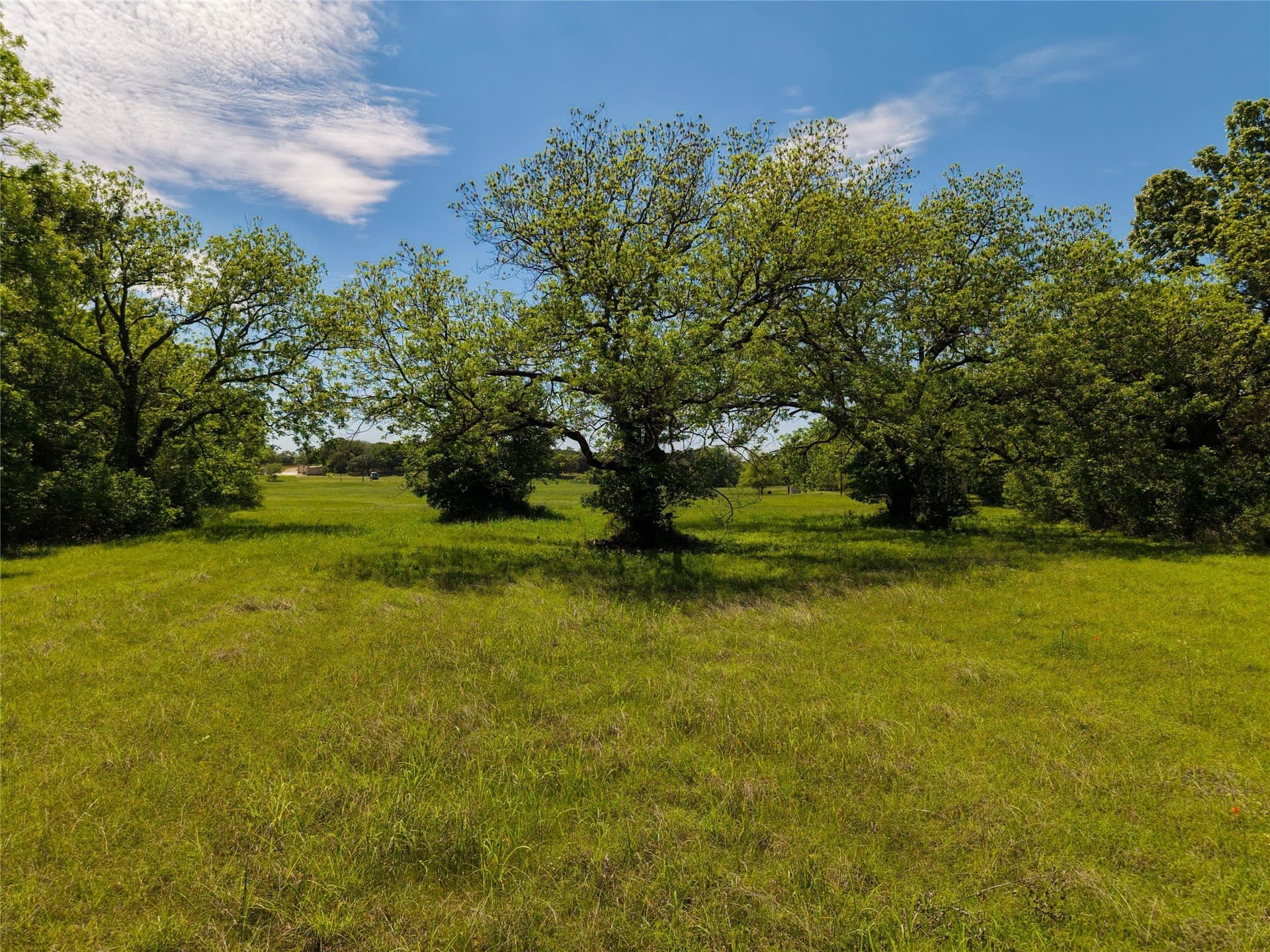 20.74 acres in Hood County - photo 6