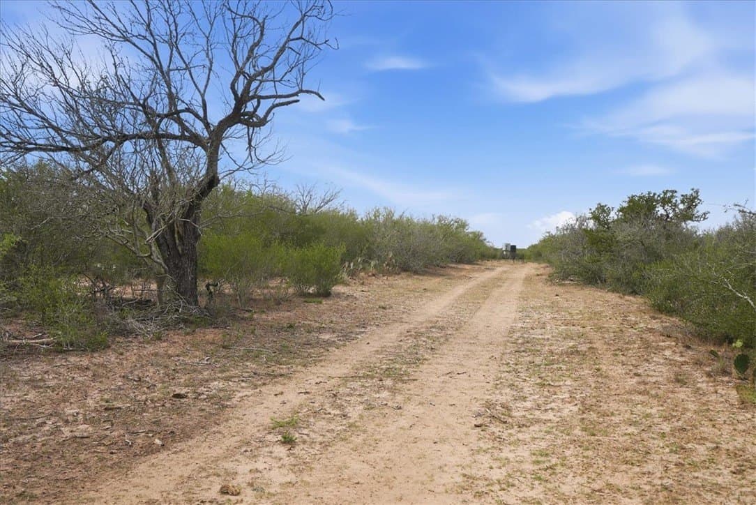 721.88 acres in Jim Wells County - photo 15