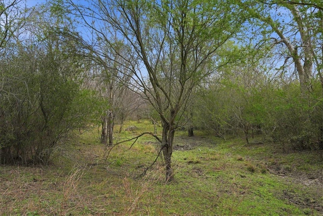 721.88 acres in Jim Wells County - photo 9