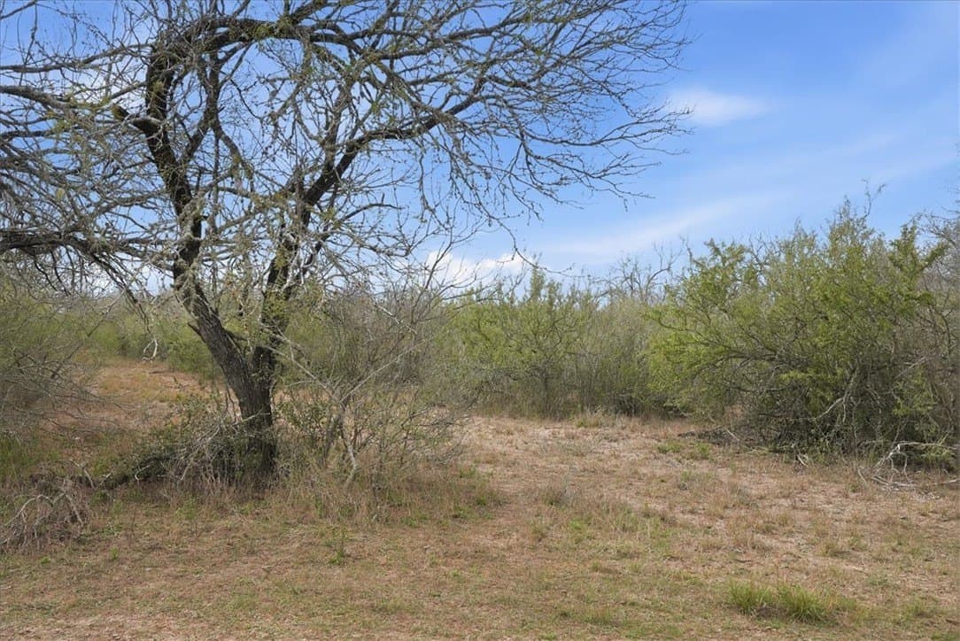 721.88 acres in Jim Wells County - photo 10