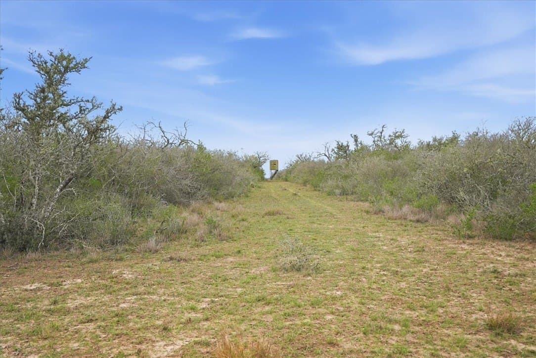 721.88 acres in Jim Wells County - photo 19
