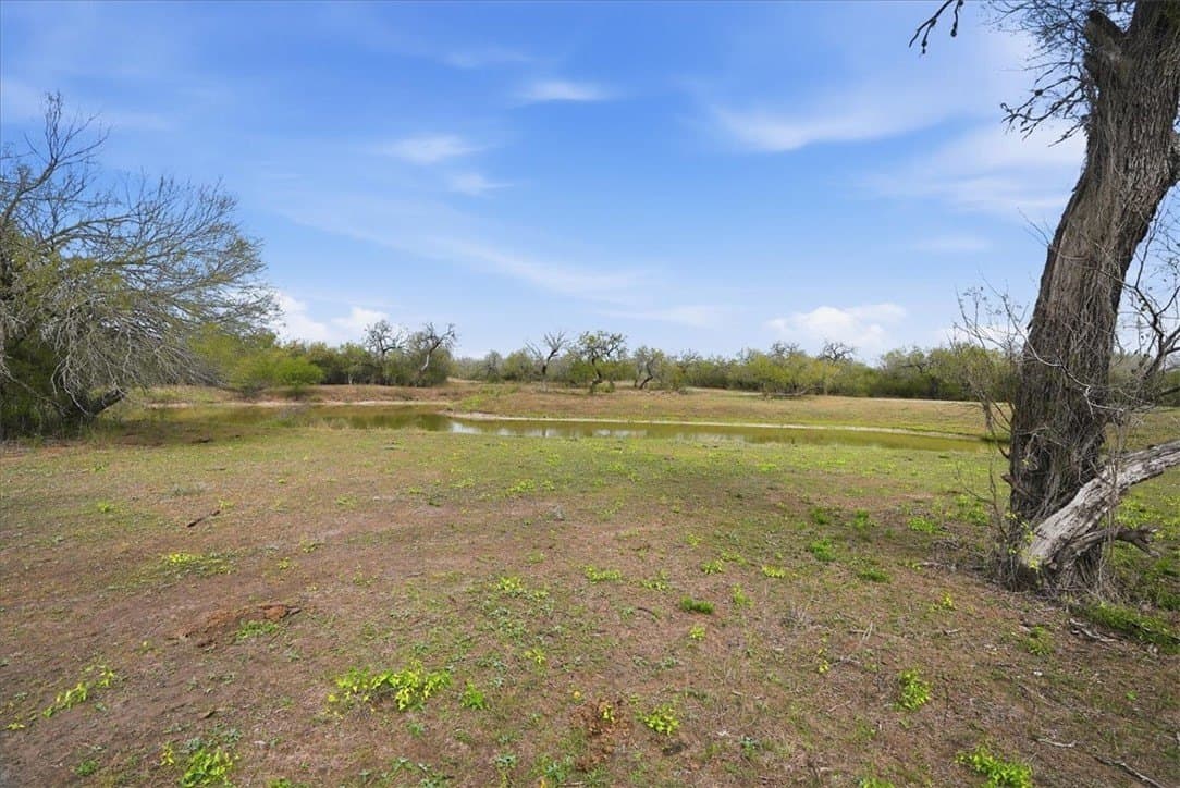 721.88 acres in Jim Wells County - photo 7