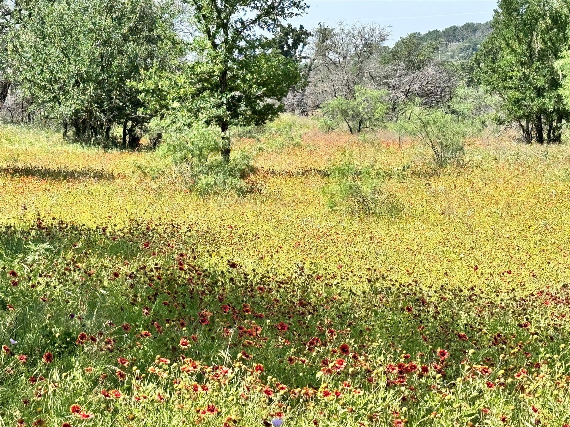 0.23 acres in Brown County - photo 12