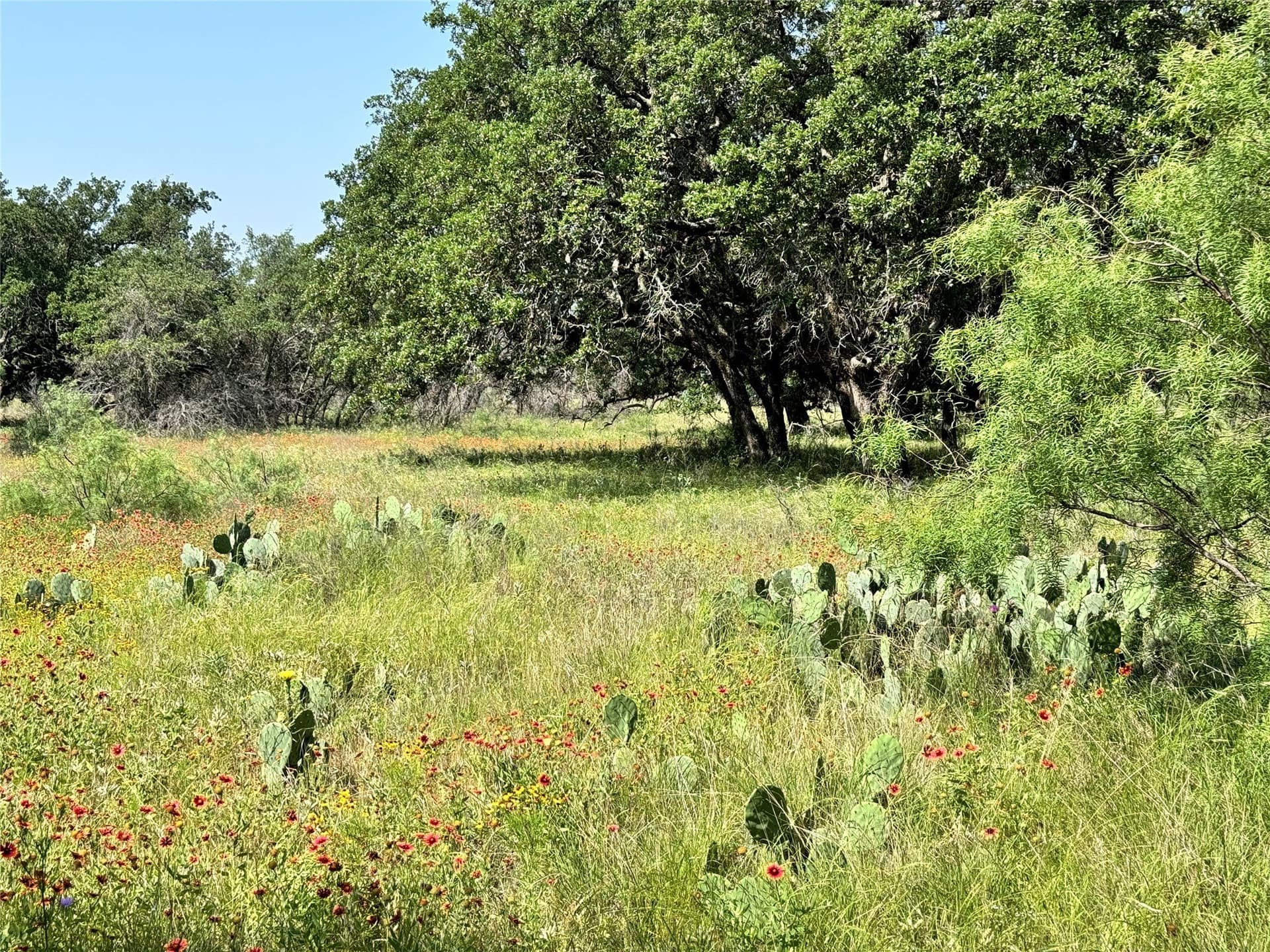 0.23 acres in Brown County - photo 15