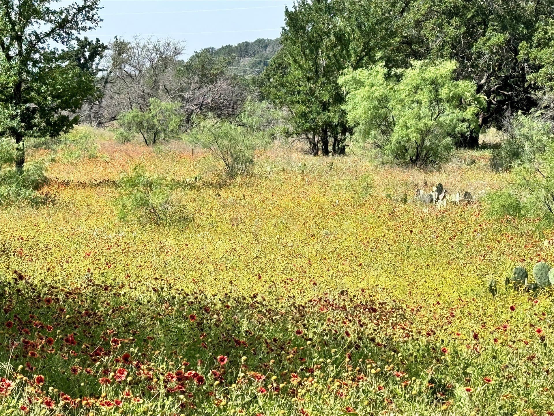 0.23 acres in Brown County - photo 13
