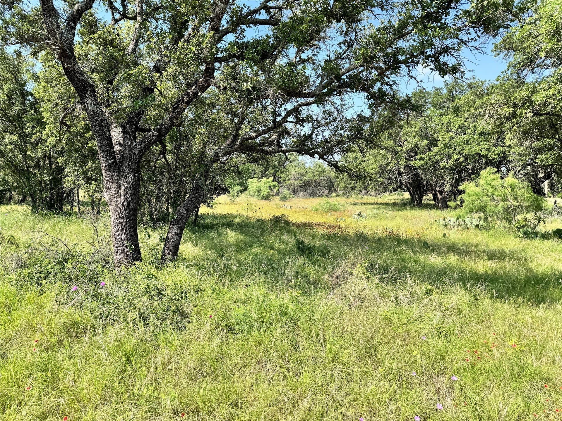 0.23 acres in Brown County gallery image 2