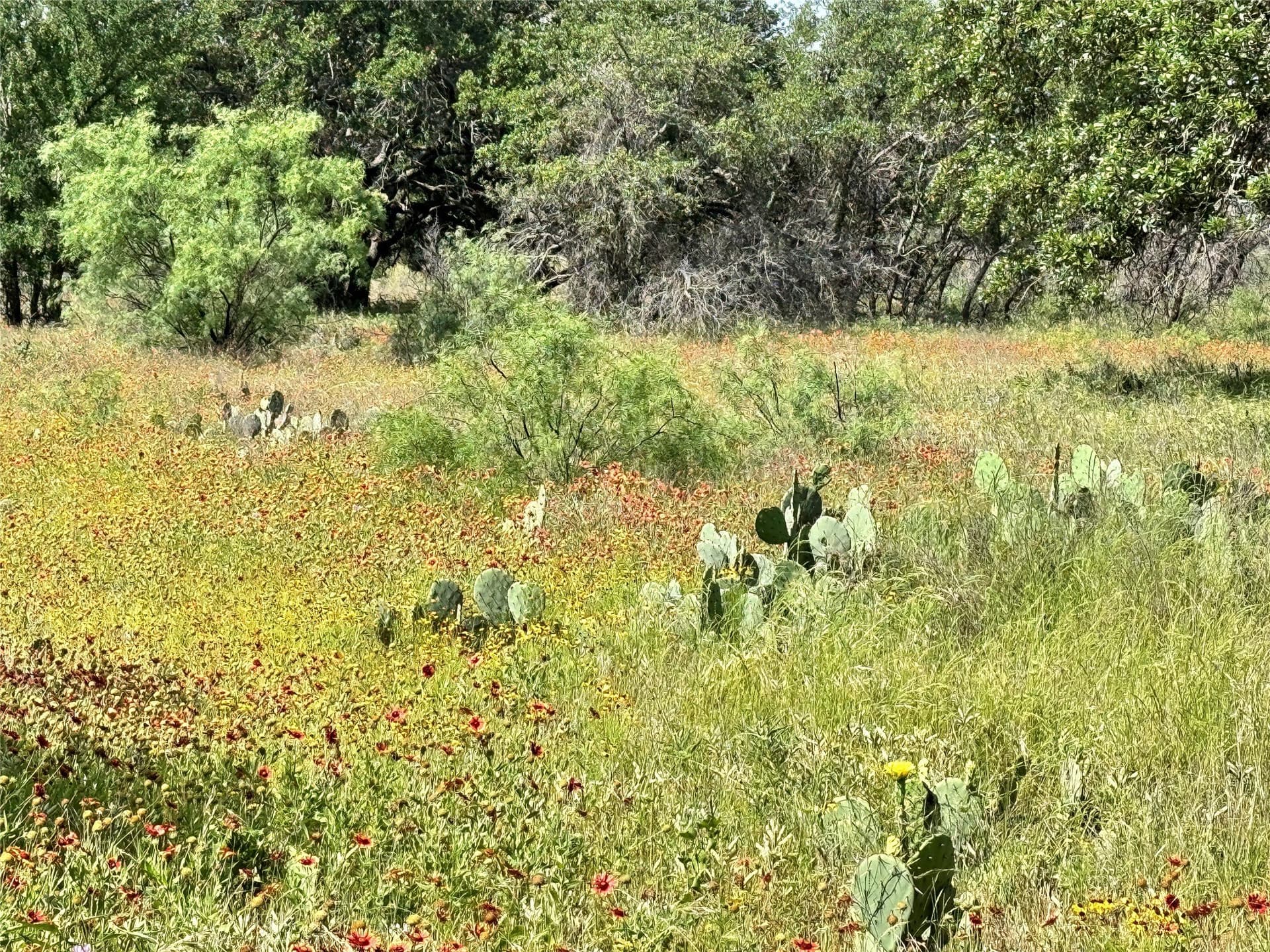 0.23 acres in Brown County - photo 14