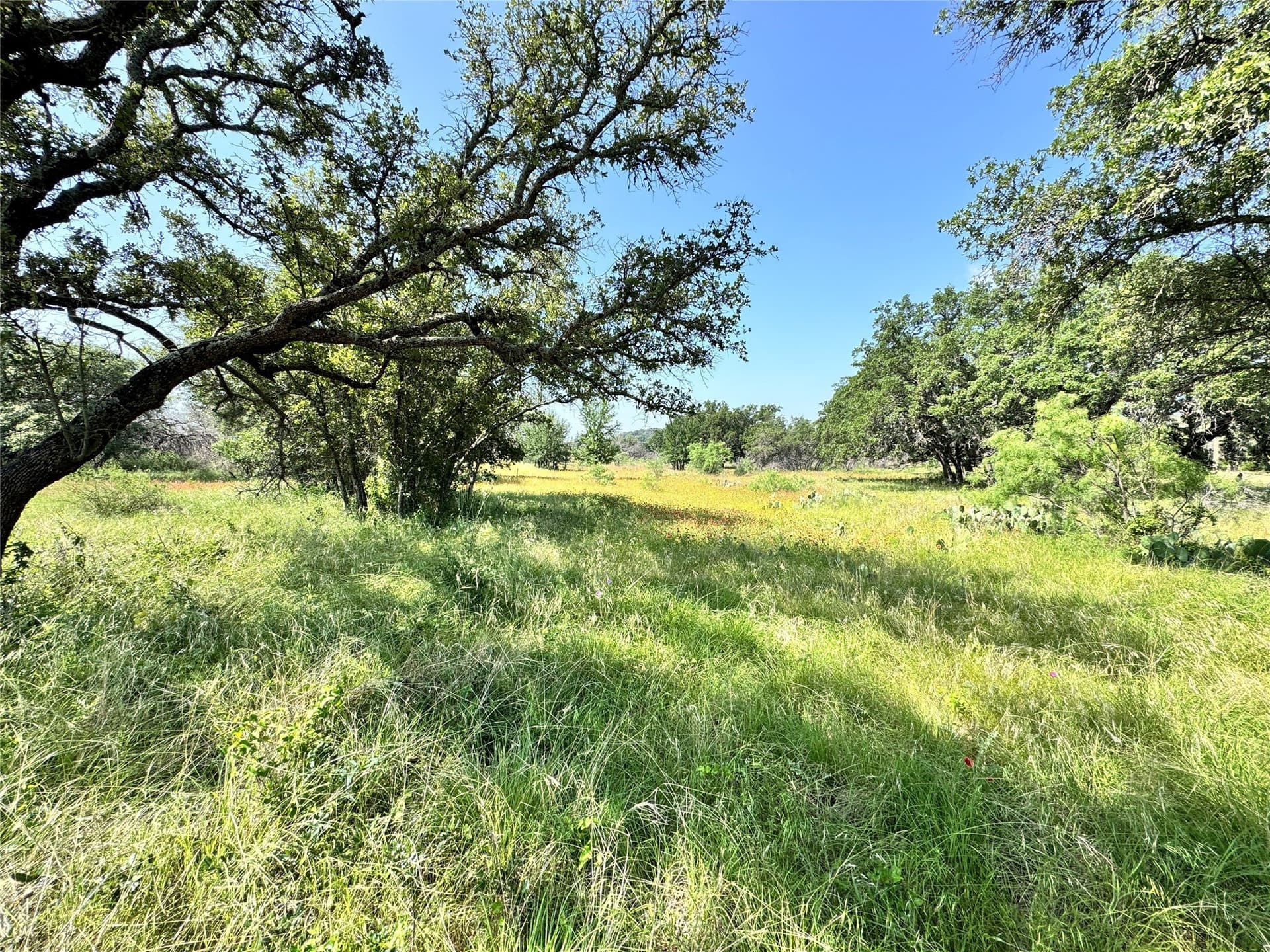 0.23 acres in Brown County gallery image 4