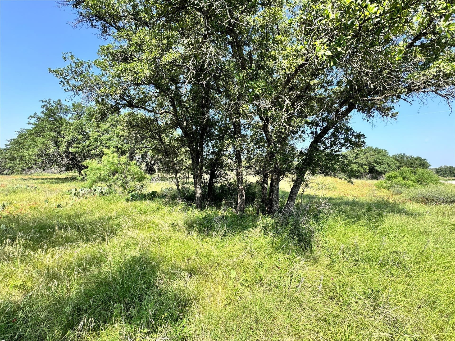 0.23 acres in Brown County - photo 7