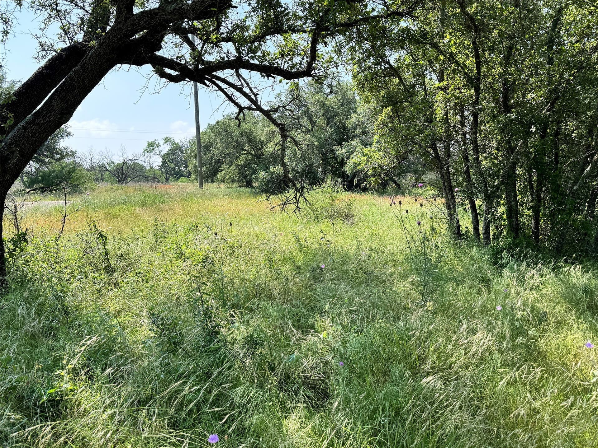 0.23 acres in Brown County - photo 16