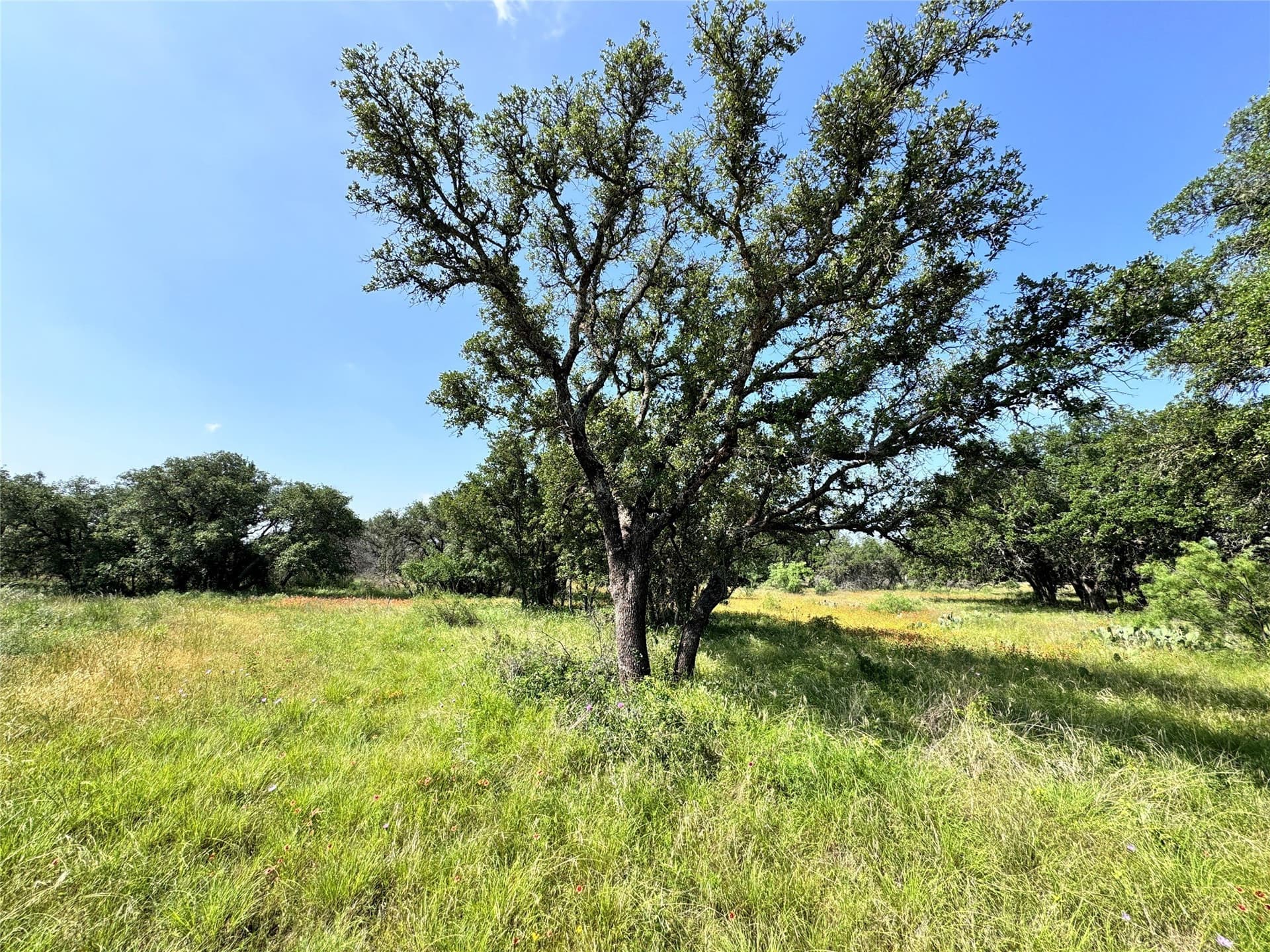0.23 acres in Brown County gallery image 3